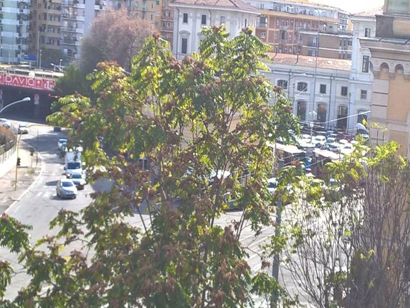 Elegance Scalini Di Trastevere روما المظهر الخارجي الصورة